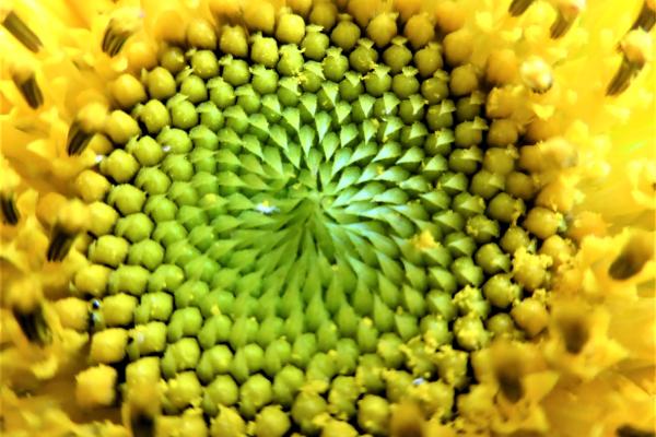 Comment gérer les complexités de l’organisation avec éthique ?